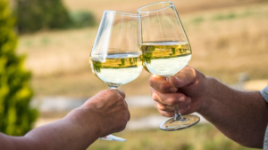 falanghina