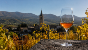 orange wine italiano dove comprare online