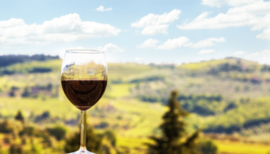 dove comprare Schiava Alto Adige online